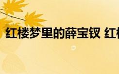 红楼梦里的薛宝钗 红楼梦人物之薛宝钗介绍