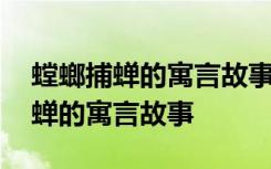 螳螂捕蝉的寓言故事说明了什么道理 螳螂捕蝉的寓言故事