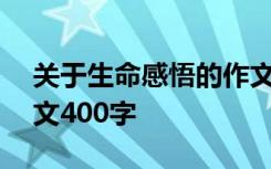 关于生命感悟的作文500字作文 生命感受作文400字