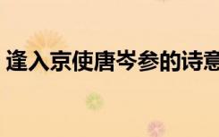 逢入京使唐岑参的诗意 逢入京使 岑参的诗意