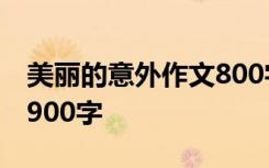 美丽的意外作文800字 美丽的意外-优秀作文900字