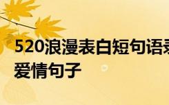 520浪漫表白短句语录最新版 520浪漫表白的爱情句子