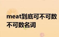 meat到底可不可数 meat是可数名词吗还是不可数名词