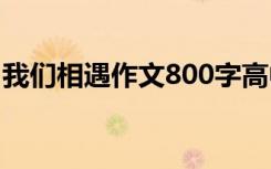 我们相遇作文800字高中 我们相遇作文800字