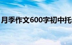 月季作文600字初中托物言志 月季作文600字