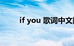 if you 歌词中文翻译 if  you 歌词