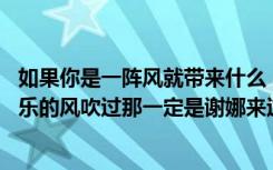 如果你是一阵风就带来什么 《娜是一阵疯》：如果有一阵快乐的风吹过那一定是谢娜来过