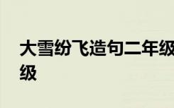 大雪纷飞造句二年级简单 大雪纷飞造句二年级