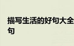 描写生活的好句大全10个字 写生活的好词好句