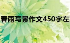 春雨写景作文450字左右 春雨写景作文450字