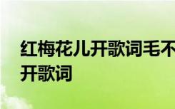 红梅花儿开歌词毛不易表达的意思 红梅花儿开歌词