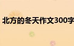 北方的冬天作文300字 北方的冬天-冬天作文