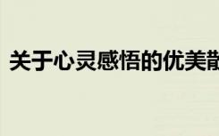 关于心灵感悟的优美散文 感悟心灵美文欣赏