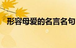 形容母爱的名言名句 形容母爱的句子名言