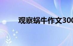 观察蜗牛作文300字 观察蜗牛作文