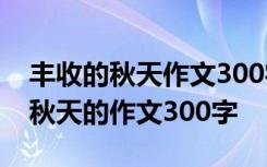 丰收的秋天作文300字作文 丰收的秋天 描写秋天的作文300字