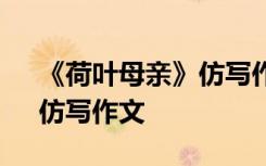 《荷叶母亲》仿写作文300字 《荷叶母亲》仿写作文