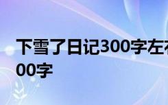 下雪了日记300字左右三年级 下雪了的日记300字