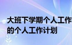 大班下学期个人工作计划2024年 大班下学期的个人工作计划