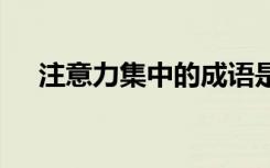 注意力集中的成语是 注意力集中的成语