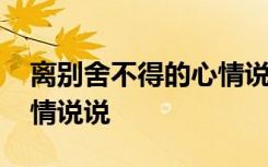 离别舍不得的心情说说句子 离别舍不得的心情说说