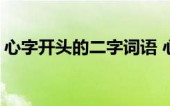 心字开头的二字词语 心字开头的词语(两个字