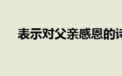 表示对父亲感恩的诗 对父亲感恩的诗句