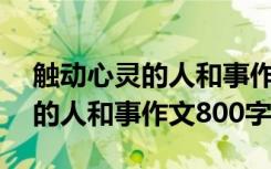 触动心灵的人和事作文800字高中 触动心灵的人和事作文800字