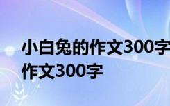 小白兔的作文300字三年级怎么写 小白兔的作文300字