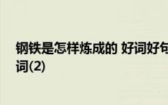 钢铁是怎样炼成的 好词好句摘抄 钢铁是怎样炼成的经典好词(2)