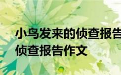 小鸟发来的侦查报告作文400字 小鸟发来的侦查报告作文