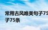 常用古风唯美句子75条图片 常用古风唯美句子75条