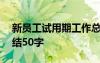 新员工试用期工作总结300字 试用期工作总结50字