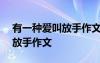 有一种爱叫放手作文600字初一 有一种爱叫放手作文