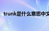 trunk是什么意思中文 trunk的意思是什么