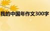 我的中国年作文300字 我的中国年作文400字