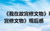 《我在故宫修文物》观后感(100字) 《我在故宫修文物》观后感