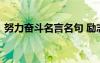 努力奋斗名言名句 励志努力奋斗的名言警句