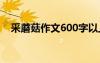 采蘑菇作文600字以上 采蘑菇作文600字