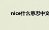 nice什么意思中文（nice什么意思）