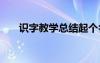 识字教学总结起个名字 识字教学总结