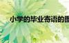 小学的毕业寄语的图片 小学的毕业寄语