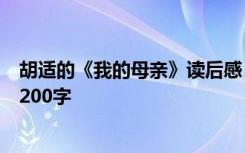 胡适的《我的母亲》读后感 读胡适《我的母亲》后感作文1200字