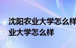 沈阳农业大学怎么样今年分儿会降吗 沈阳农业大学怎么样