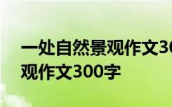 一处自然景观作文300字左右 写一处自然景观作文300字