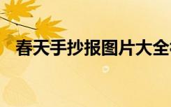 春天手抄报图片大全视频 春天手抄报图片