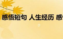 感悟短句 人生经历 感悟人生经历的经典句子