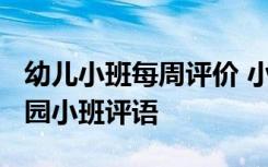 幼儿小班每周评价 小班每周幼儿评语集-幼儿园小班评语