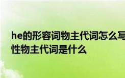 he的形容词物主代词怎么写 he的形容词性物主代词和名词性物主代词是什么