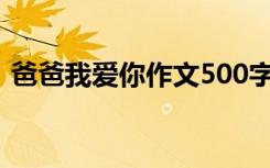 爸爸我爱你作文500字左右 爸爸,我爱你作文